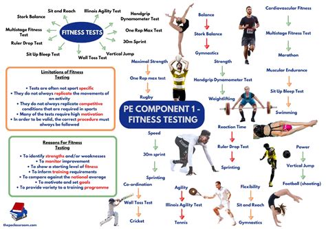 different fitness tests.